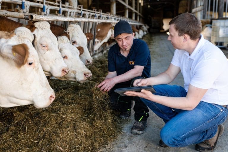 Beratung Futtermischer PROFI MIX im Stall