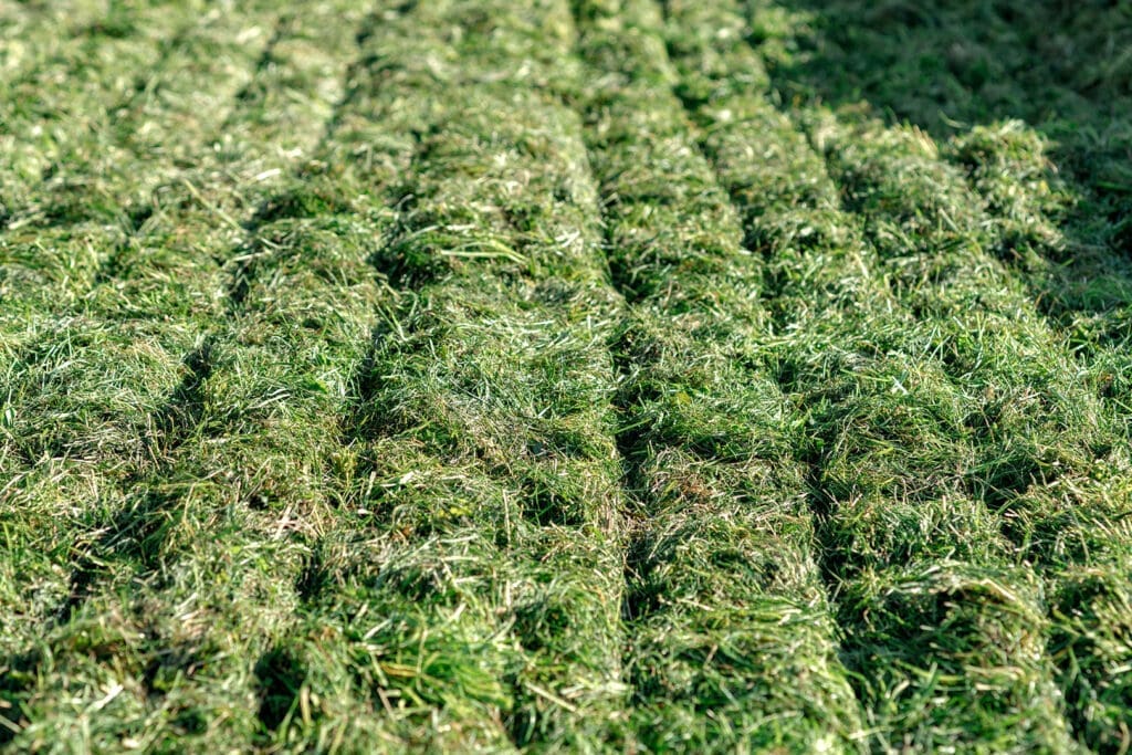 Ergebnis: perfekt verdichtete Grassilage