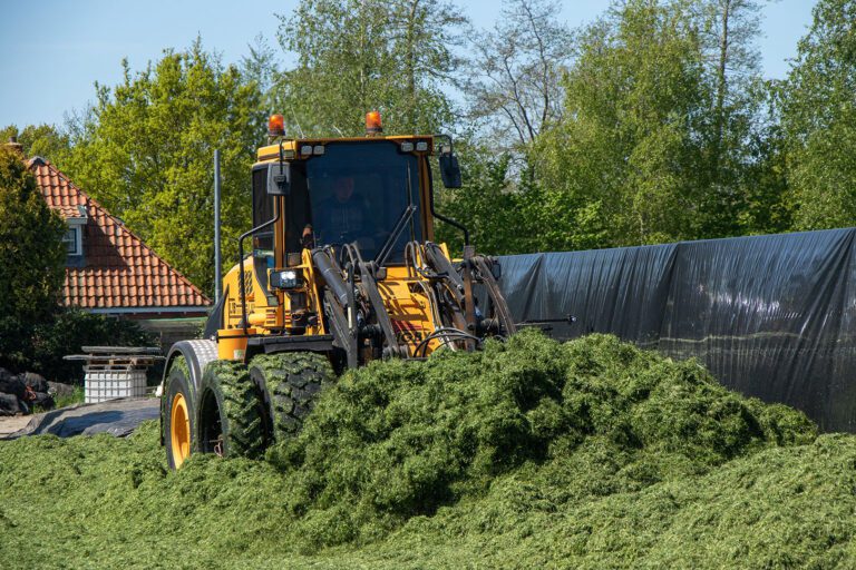 Silage spreader with hydraulic drive on Jungby wheel loader in grass distribution