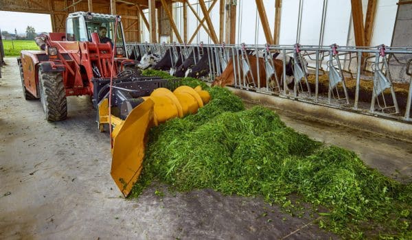 FEED MASTER - Familie Haselgruber, Lengau - Frischfutterverteilung