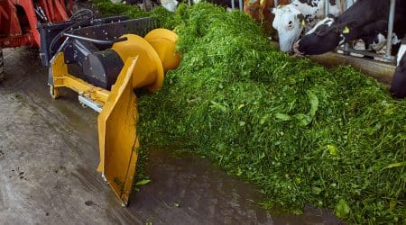 Feed Master FORTUNA SPEZIAL - lame de raclage