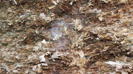 A loosened surface can cause white-grey mould to form in the silage.